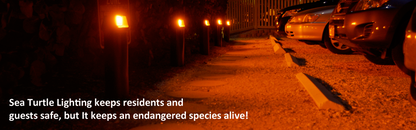Certified Wildlife Light Bulb - Florida Fish and Wildlife Conservation Commission Certified LIghting
