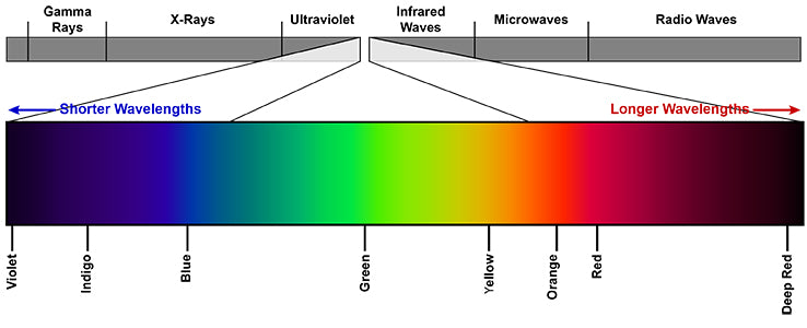 Sunset Switch Bulb. (Blue Depleted / Blue Enriched)